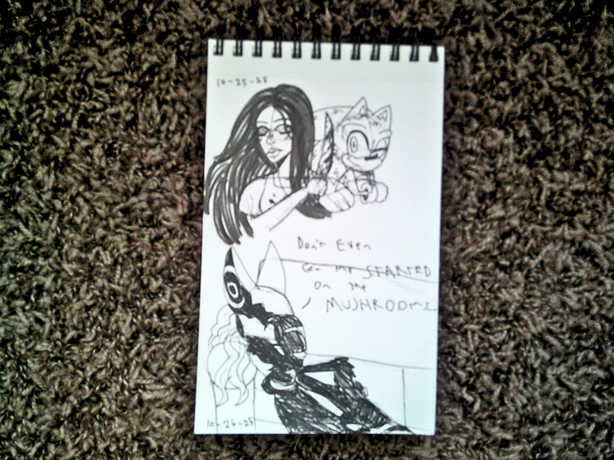 Sonictober: Days 25-26